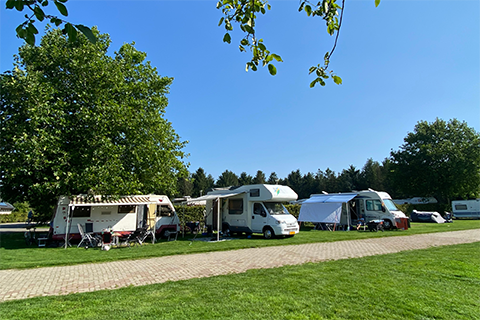 Campers op zonnige camperplaats
