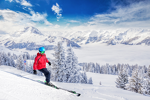 Trees covered by fresh snow in Austria Alps from Kitzbuehel ski resort - one of the best ski resort in the workd with 54 cable cars, 170 km prepared skiing slopes and place of famous hahnenkamm races.