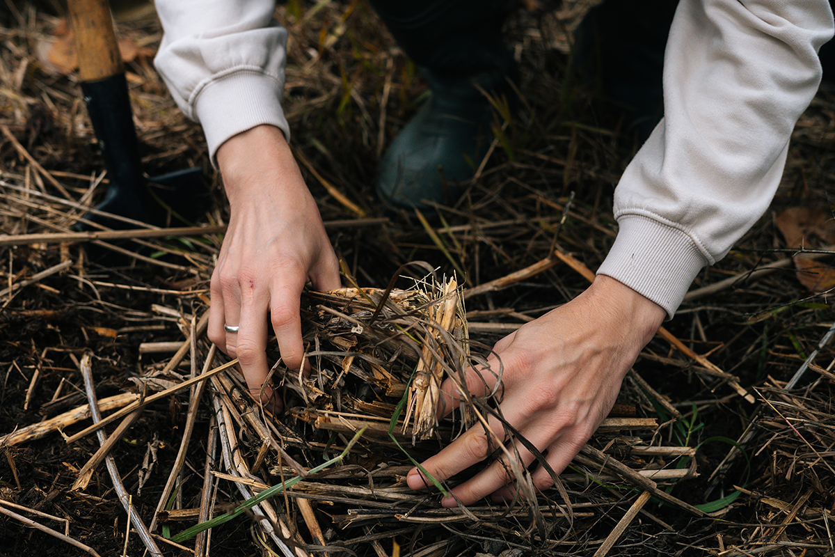 Close-up,Hands,Of,Unrecognizable,Survivalist,Male,Putting,Brushwood,On,Campfire