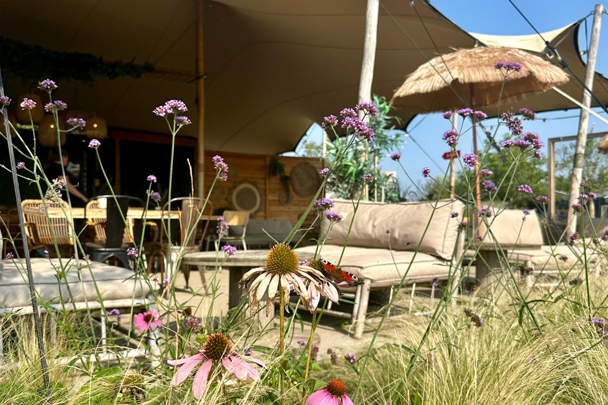 Terras van Buitengoed de Boomgaard met bloemen, zitplaatsen en parasols